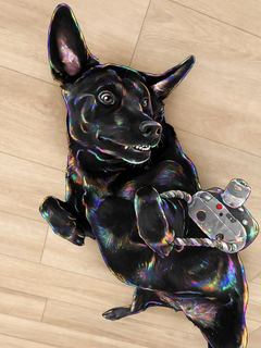 Belly Up Toy Time